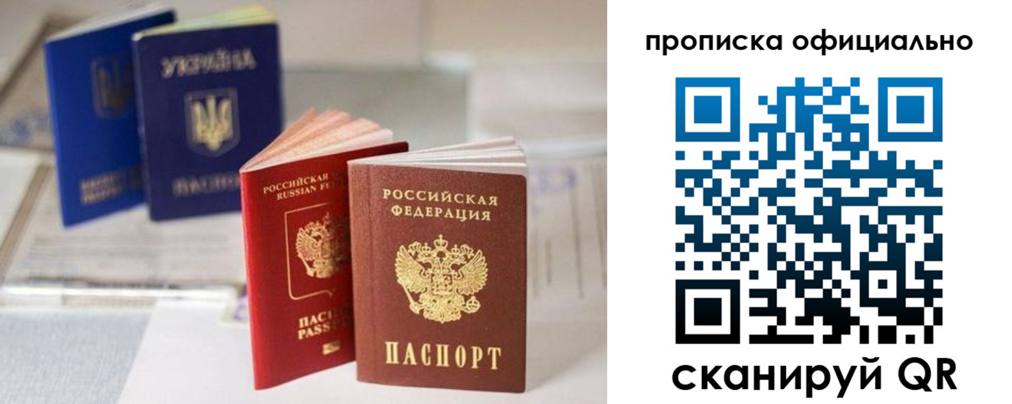 прописка поиск в Ермолино